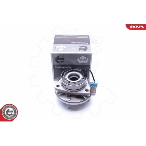 ESEN SKV Radlagersatz