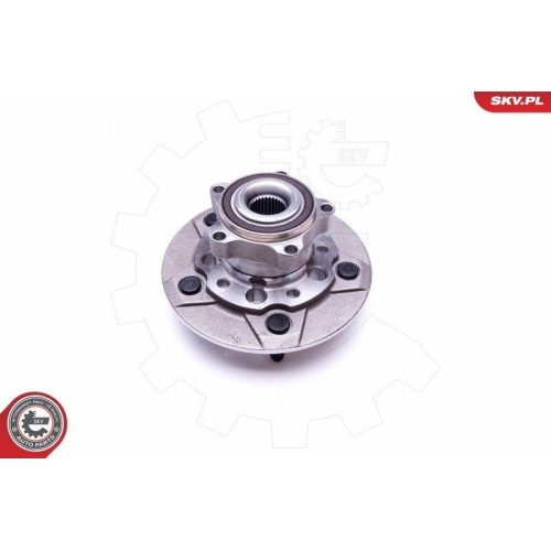 ESEN SKV Radlagersatz