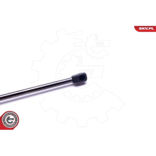 ESEN SKV Gasfeder, Koffer-/Laderaum