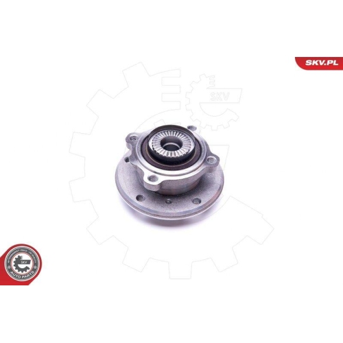 ESEN SKV Radlagersatz