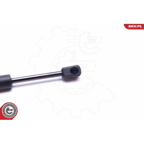 ESEN SKV Gasfeder, Koffer-/Laderaum