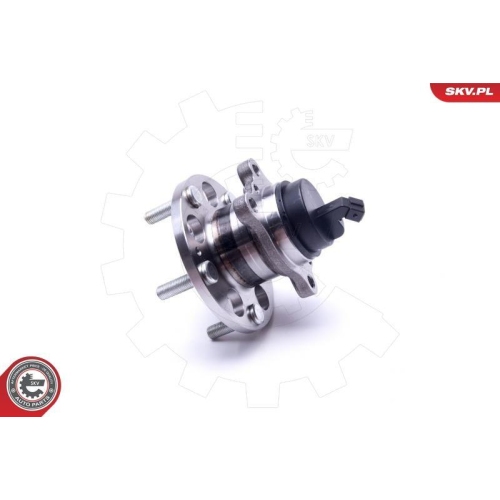 ESEN SKV Radlagersatz