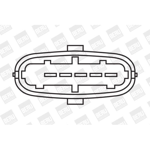 BorgWarner (BERU) Zündspule