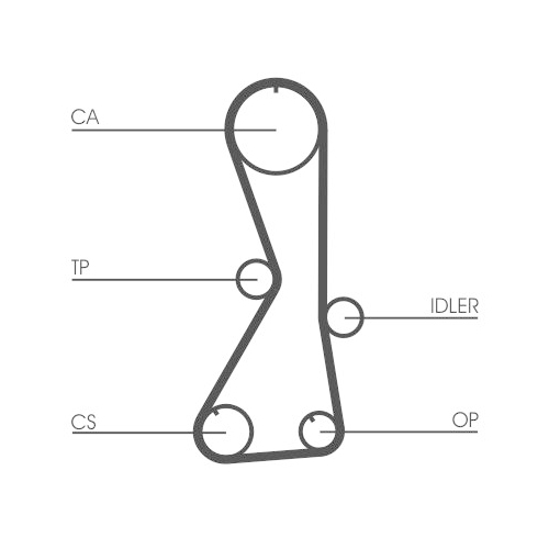 CONTINENTAL CTAM Zahnriemen