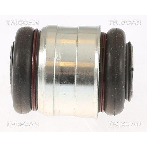 TRISCAN Lagerung, Lenker