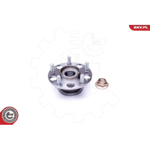 ESEN SKV Radlagersatz
