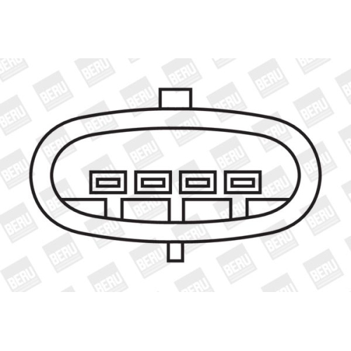 BorgWarner (BERU) Zündspule