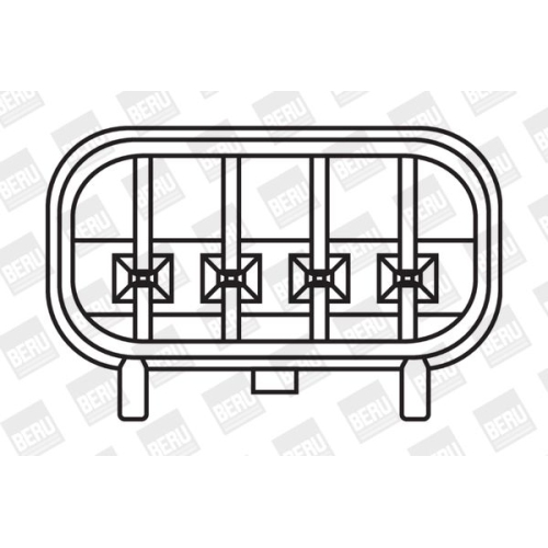 BorgWarner (BERU) Zündspule