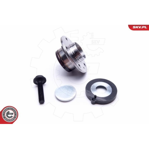 ESEN SKV Radlagersatz