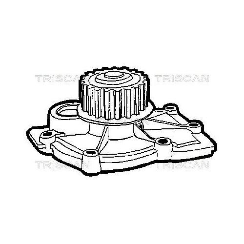 TRISCAN Wasserpumpe, Motorkühlung