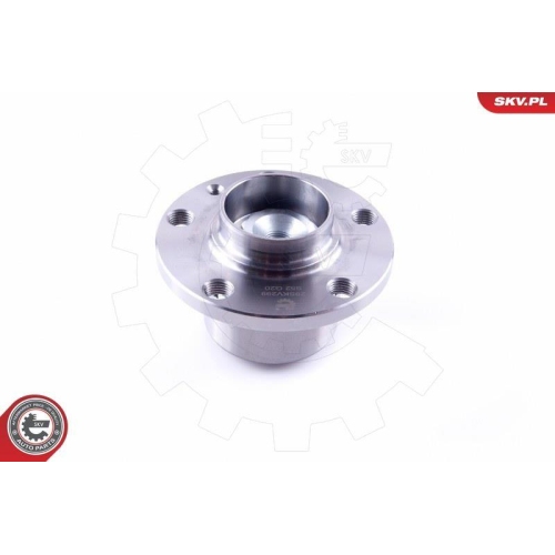 ESEN SKV Radlagersatz