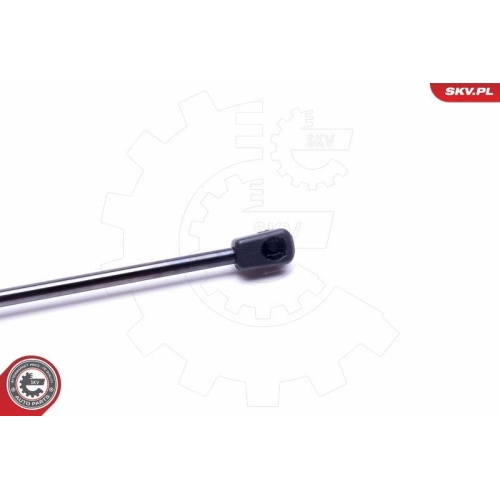 ESEN SKV Gasfeder, Koffer-/Laderaum