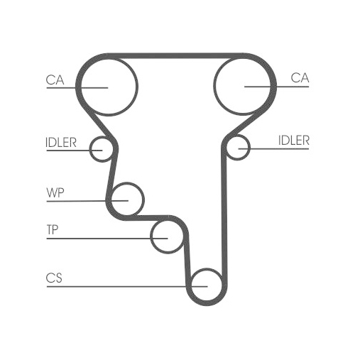 CONTINENTAL CTAM Zahnriemen