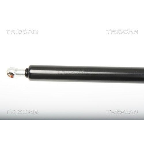TRISCAN Gasfeder, Koffer-/Laderaum