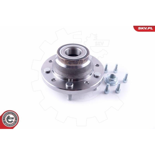 ESEN SKV Radlagersatz