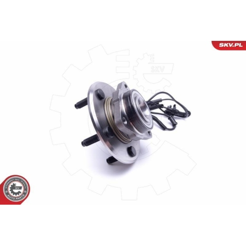 ESEN SKV Radlagersatz