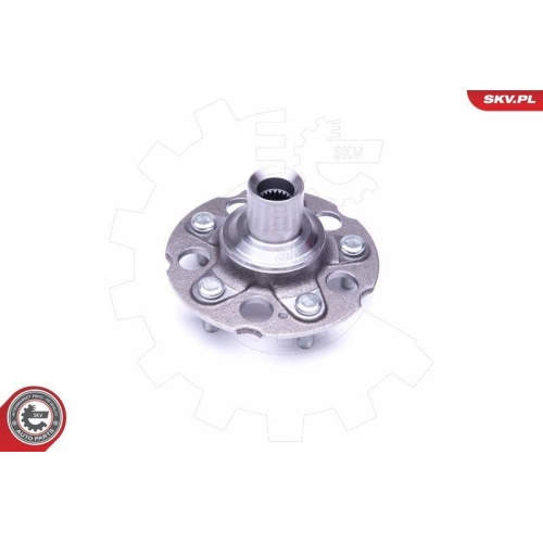 ESEN SKV Radlagersatz