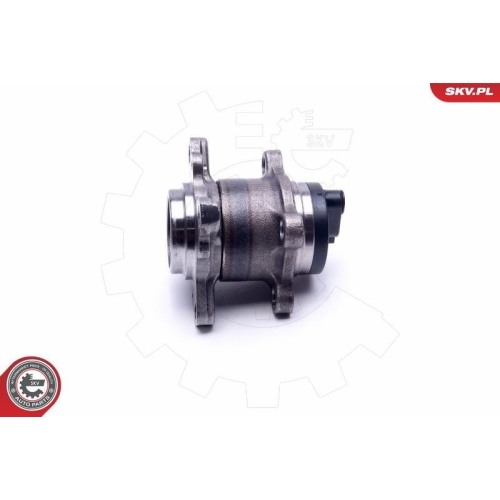 ESEN SKV Radlagersatz