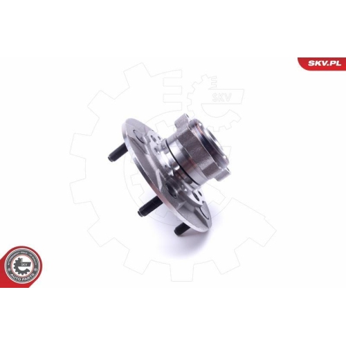 ESEN SKV Radlagersatz