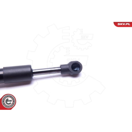 ESEN SKV Gasfeder, Koffer-/Laderaum