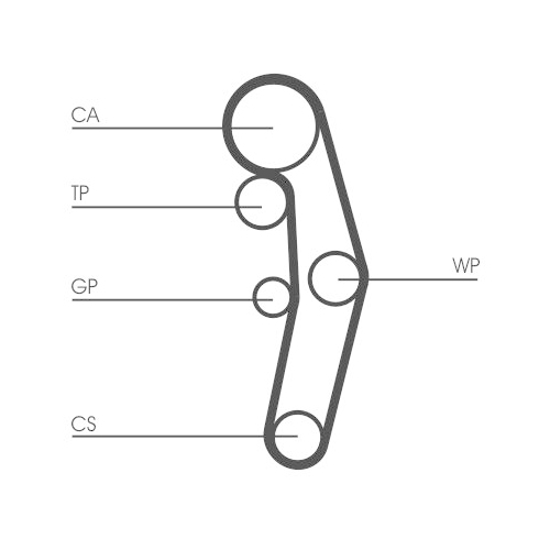 CONTINENTAL CTAM Zahnriemen