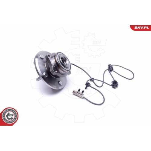 ESEN SKV Radlagersatz