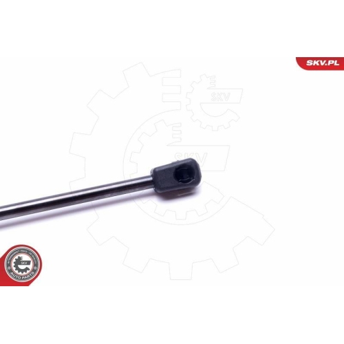 ESEN SKV Gasfeder, Koffer-/Laderaum