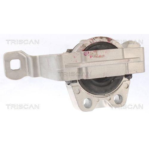 TRISCAN Lagerung, Motor