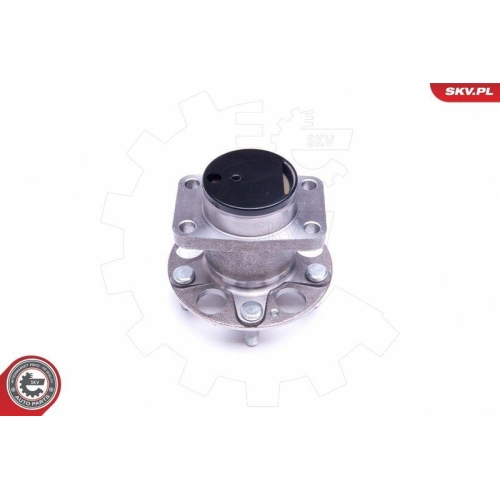 ESEN SKV Radlagersatz