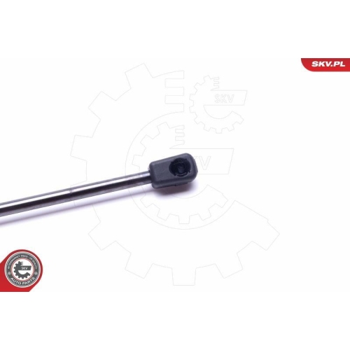 ESEN SKV Gasfeder, Koffer-/Laderaum