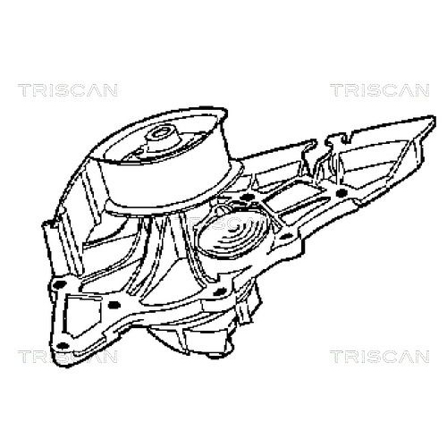 TRISCAN Wasserpumpe, Motorkühlung