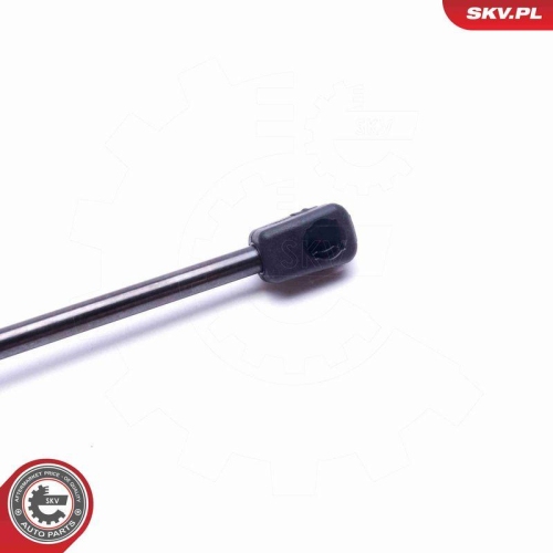 ESEN SKV Gasfeder, Koffer-/Laderaum