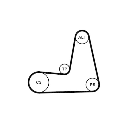 CONTINENTAL CTAM Keilrippenriemensatz