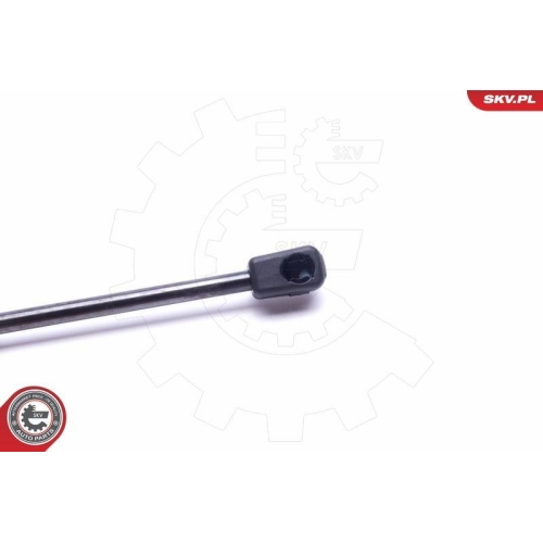 ESEN SKV Gasfeder, Koffer-/Laderaum