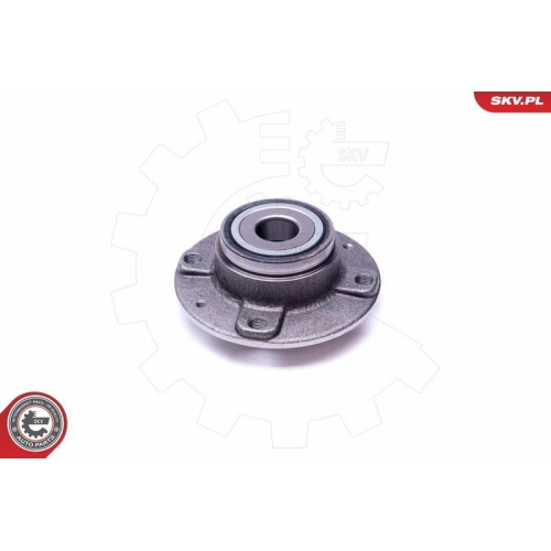 ESEN SKV Radlagersatz