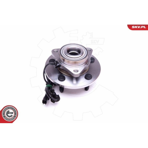 ESEN SKV Radlagersatz