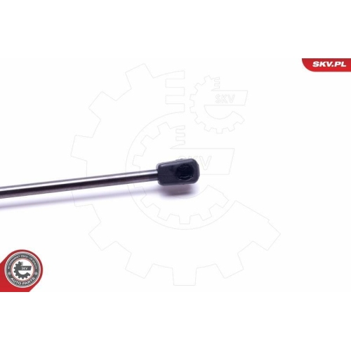 ESEN SKV Gasfeder, Koffer-/Laderaum