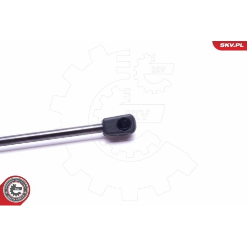 ESEN SKV Gasfeder, Koffer-/Laderaum