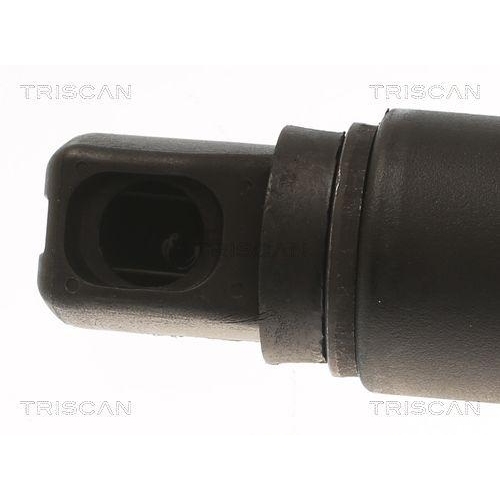 TRISCAN Gasfeder, Koffer-/Laderaum