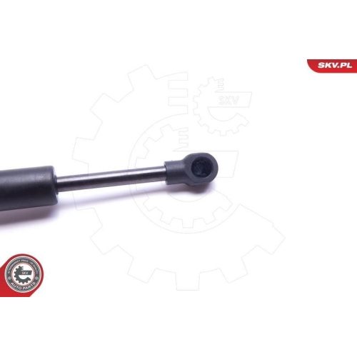 ESEN SKV Gasfeder, Koffer-/Laderaum