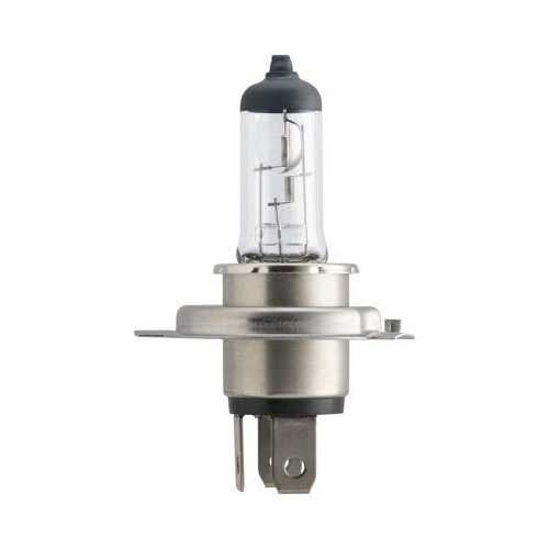 PHILIPS Gl&uuml;hlampe LongLife EcoVision