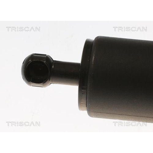 TRISCAN Gasfeder, Koffer-/Laderaum