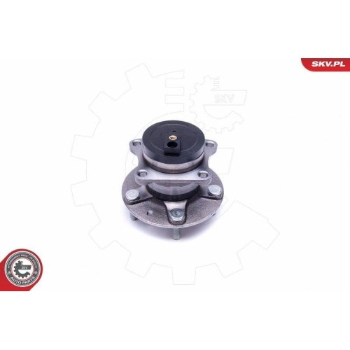 ESEN SKV Radlagersatz