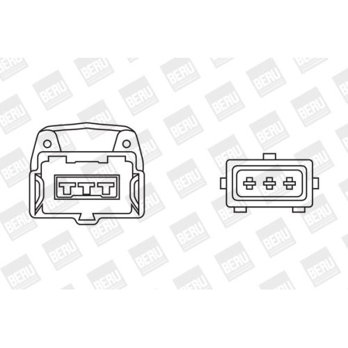 BorgWarner (BERU) Zündspule