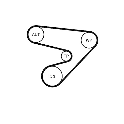 CONTINENTAL CTAM Keilrippenriemensatz