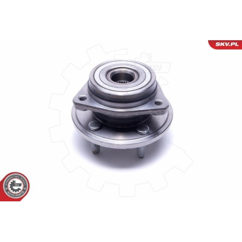 ESEN SKV Radlagersatz