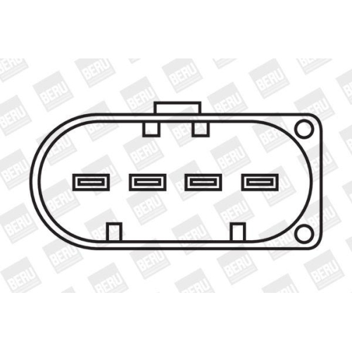 BorgWarner (BERU) Zündspule