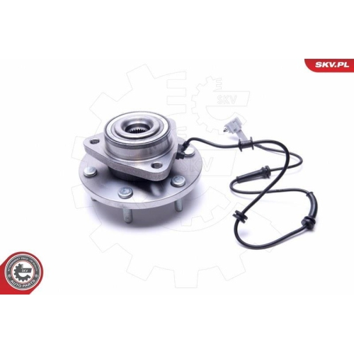 ESEN SKV Radlagersatz