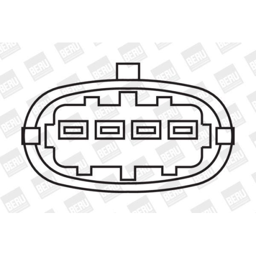 BorgWarner (BERU) Zündspule