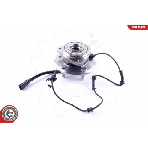 ESEN SKV Radlagersatz